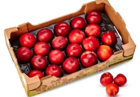 Mini-plateau yellow nectarines
