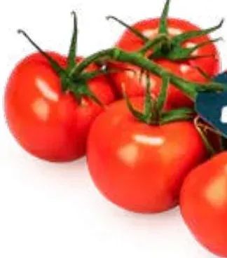 Vine Tomatoes