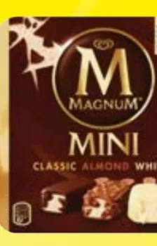 Magnum Mini Ice Cream Sticks