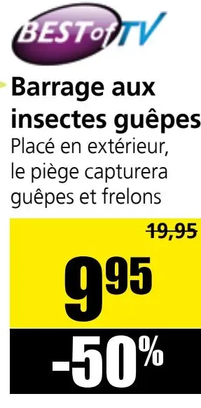 Insect Trap Wasps