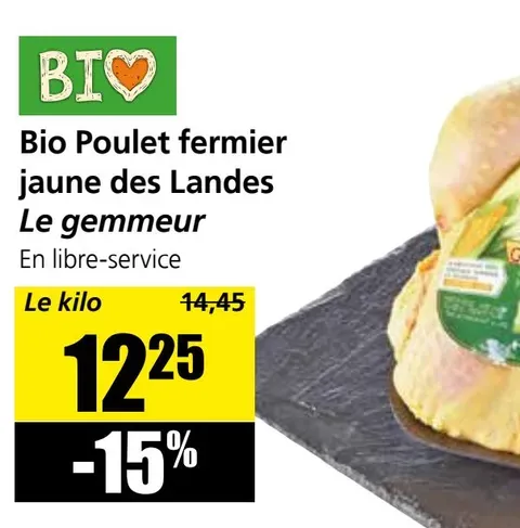 Organic farm chicken yellow Landes