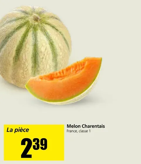 Charentais Melon