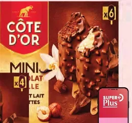 Mini Chocolate Ice Cream