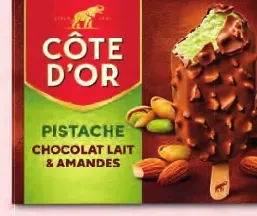 Pistachio Chocolate Ice Cream