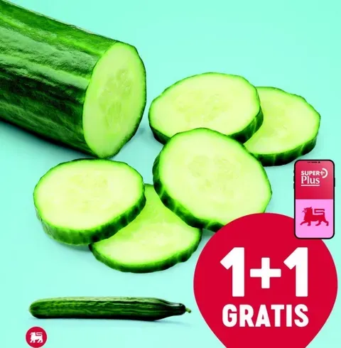 Cucumber