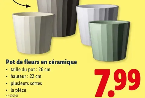 Ceramic flower pot