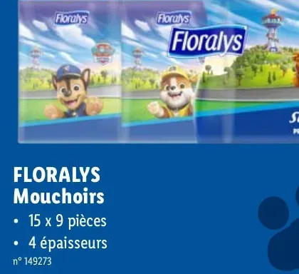 Pocket Tissues